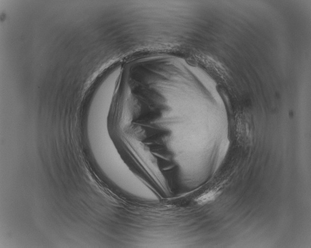 X0000067510684200604281609