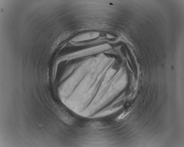 X0000067510685200604281609