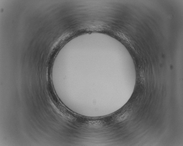 X0000067510686200604281609