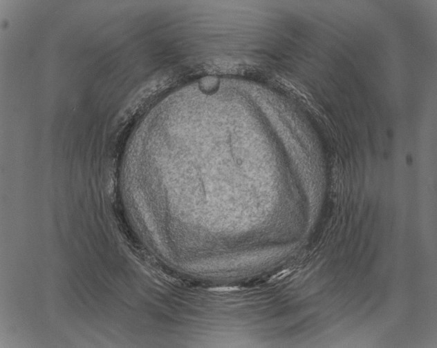 X0000067510687200604281609