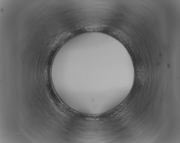 X0000067510690200604281609