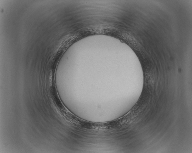 X0000067510694200604281609