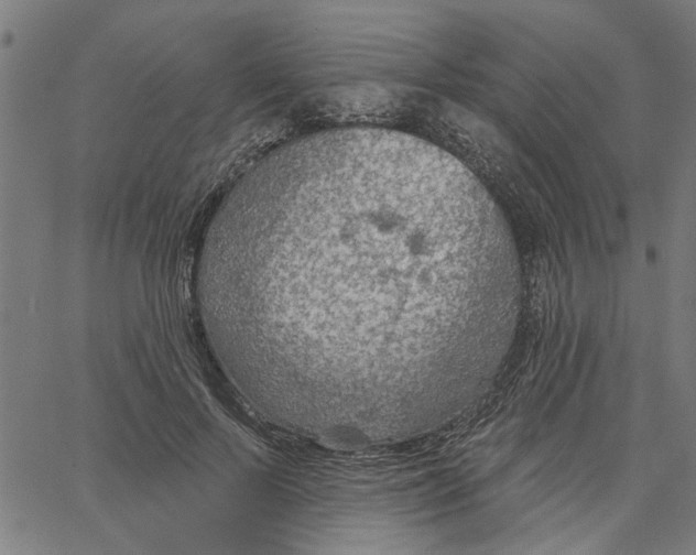 X0000067510695200604281609