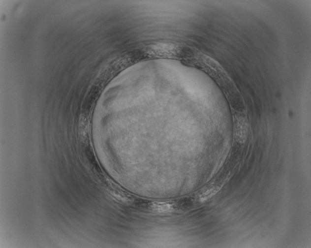 X0000067510701200604281609