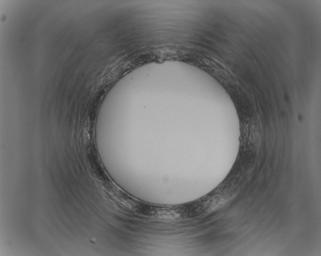 X0000067510702200604281609