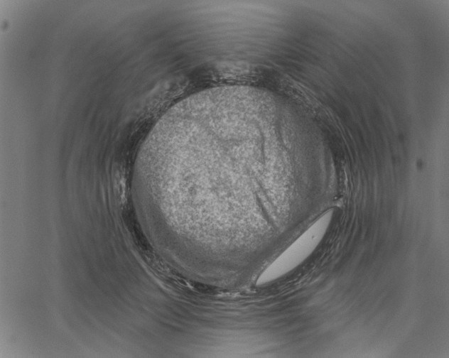 X0000067510703200604281609