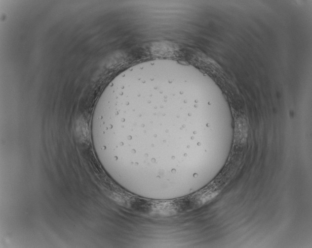 X0000067510705200604281608