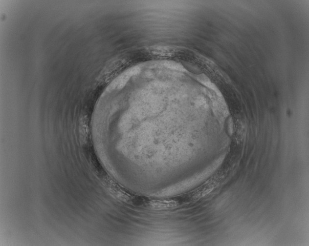 X0000067510707200604281608