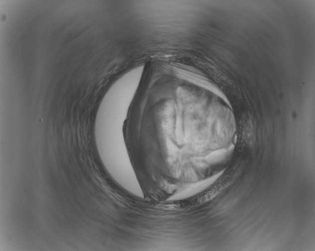 X0000067510711200604281608