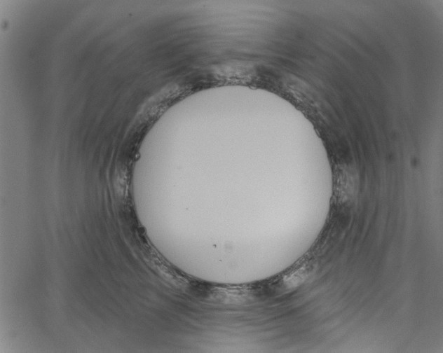 X0000067510713200604281608