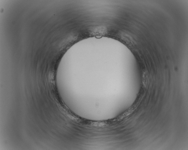 X0000067510714200604281608