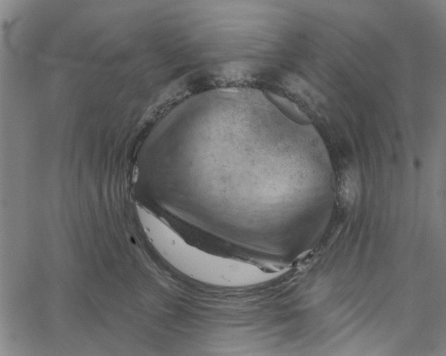 X0000067510715200604281608