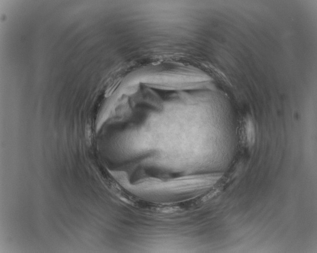 X0000067510716200604281608