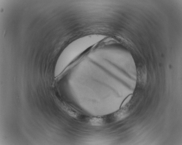 X0000067510718200604281608