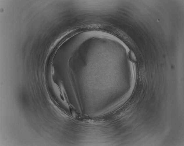 X0000067510722200604281607