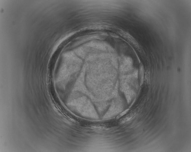 X0000067510724200604281607