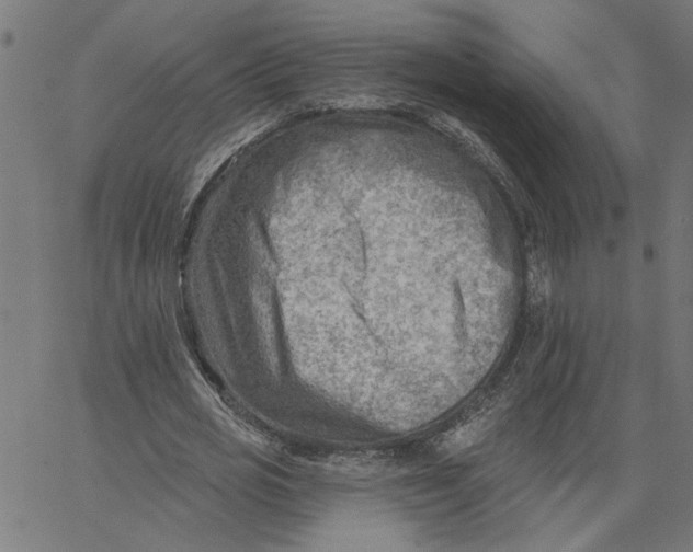 X0000067510725200604281607