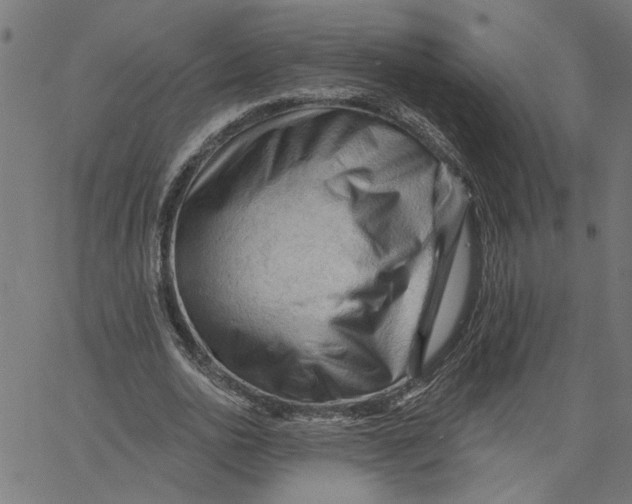 X0000067510726200604281607