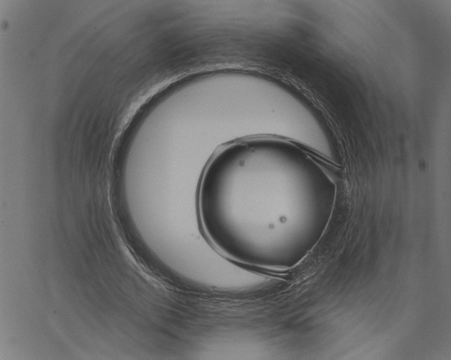 X0000067510728200604281607