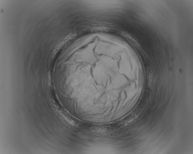 X0000067510729200604281607