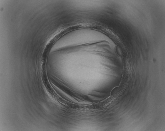 X0000067510730200604281607