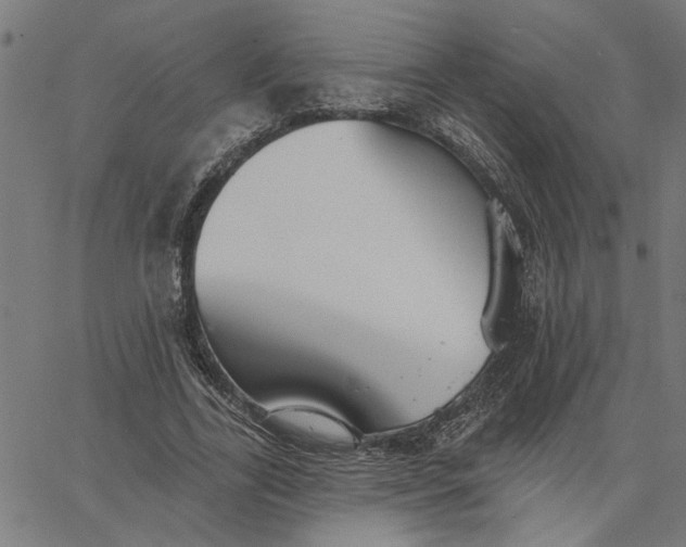 X0000067510731200604281607