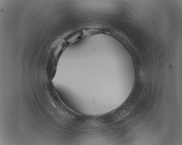 X0000067510732200604281607