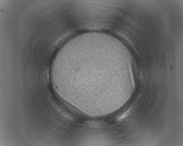 X0000067510733200604281608