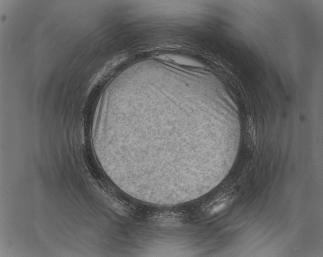 X0000067510734200604281608