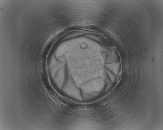 X0000067510736200604281608