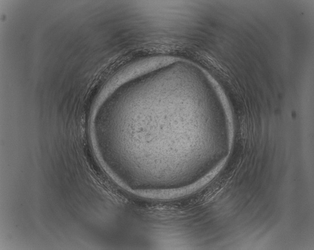 X0000067510737200604281608