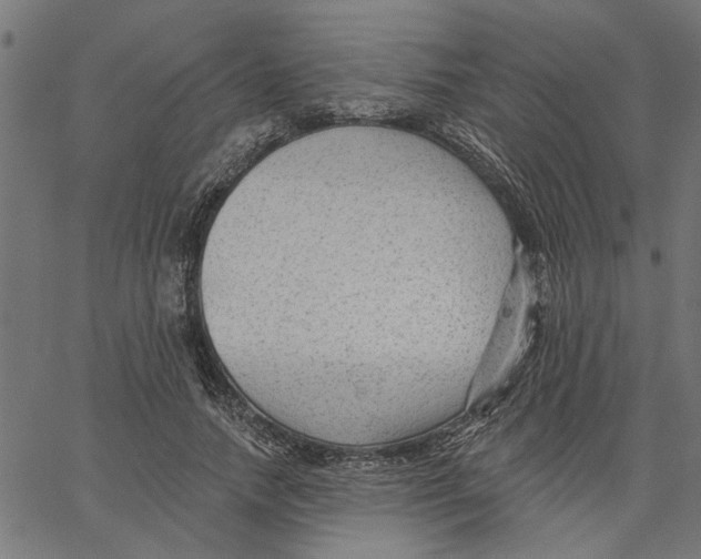 X0000067510738200604281608