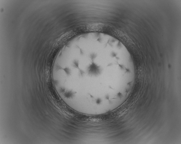 X0000067510741200604281608