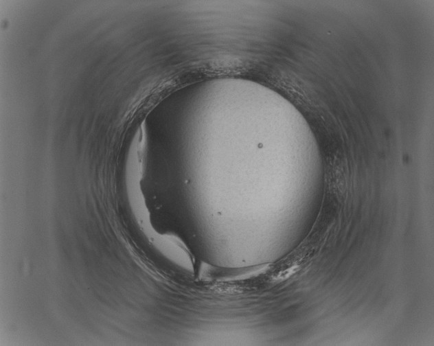 X0000067510742200604281608