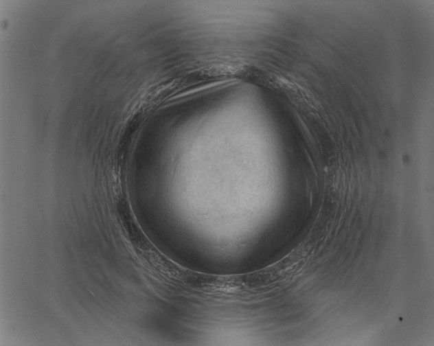 X0000067510743200604281608