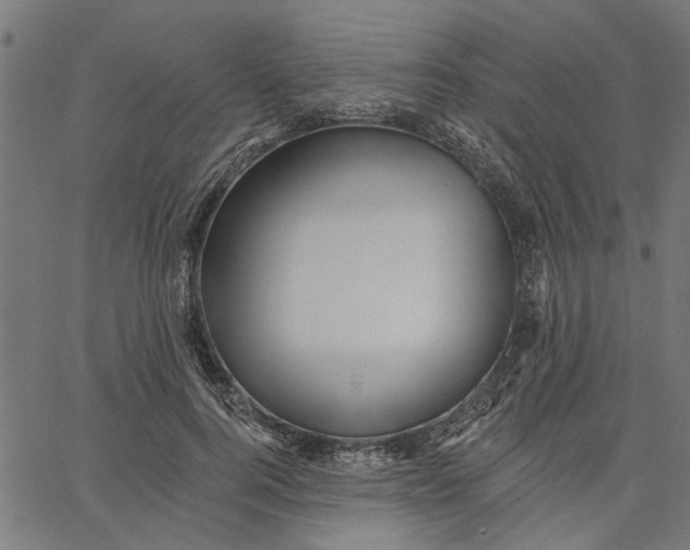 X0000067510744200604281608