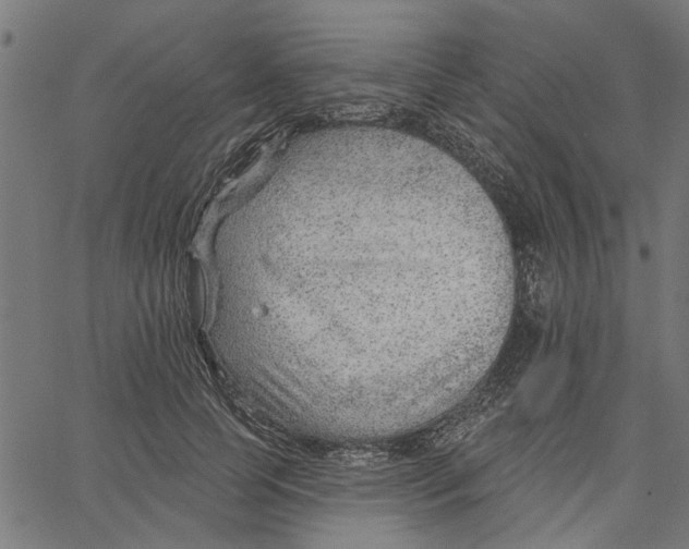 X0000067510745200604281608