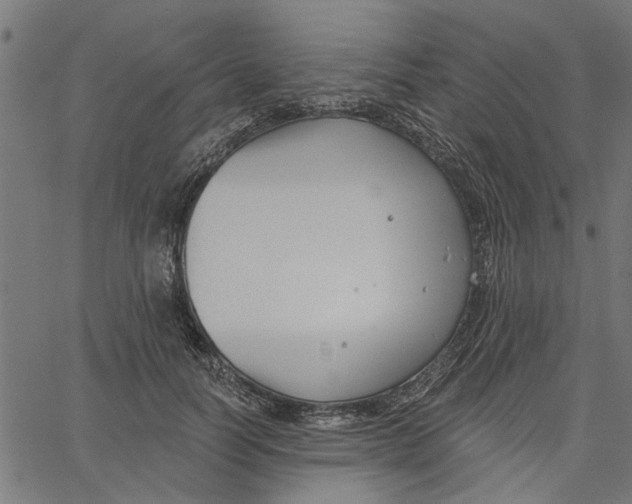 X0000067510746200604281608