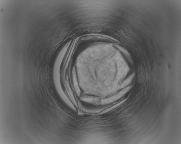 X0000067510747200604281608