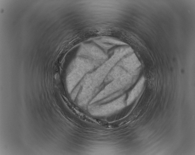 X0000067510748200604281608