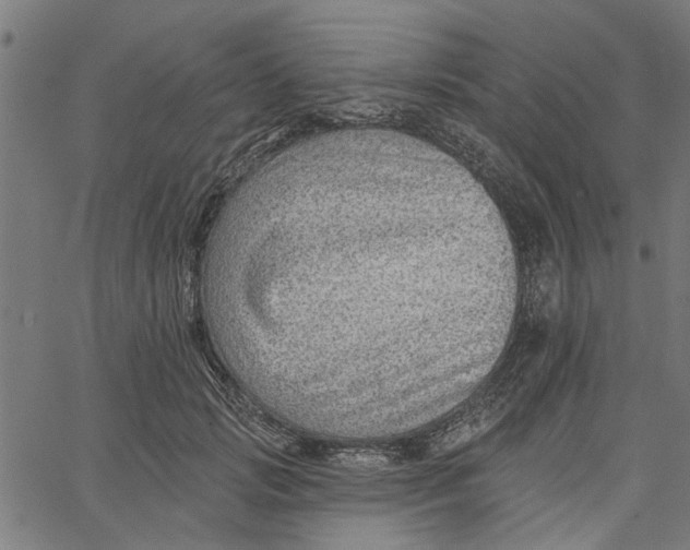 X0000067510749200604281608