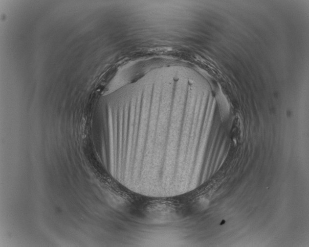 X0000067510750200604281608