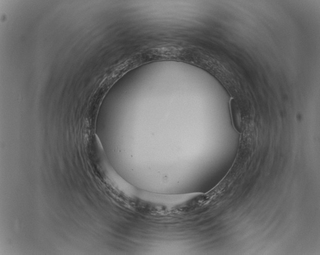 X0000067510752200604281608