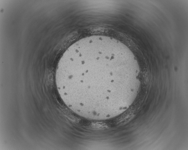 X0000067510753200604281608