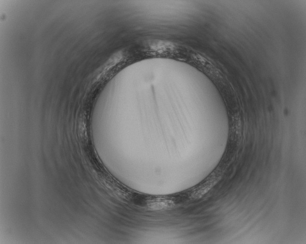 X0000067510754200604281608