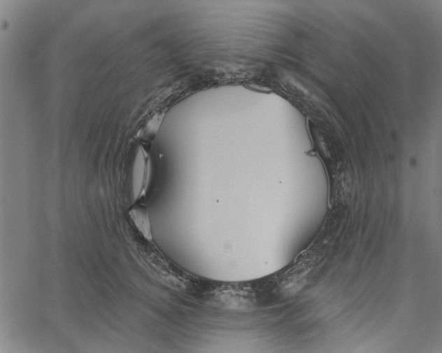 X0000067510756200604281608