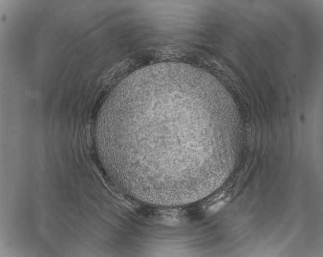 X0000067510757200604281608