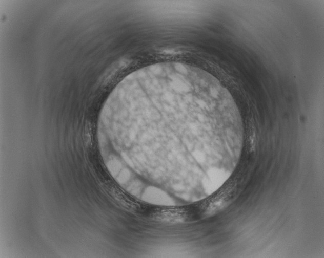 X0000067510758200604281608