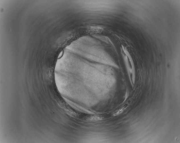 X0000067510759200604281608