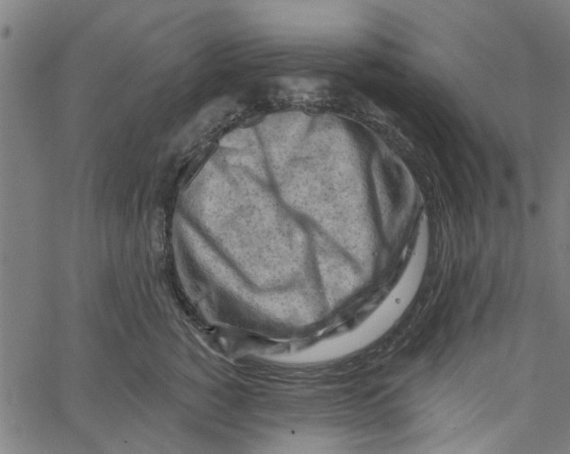 X0000067510760200604281608